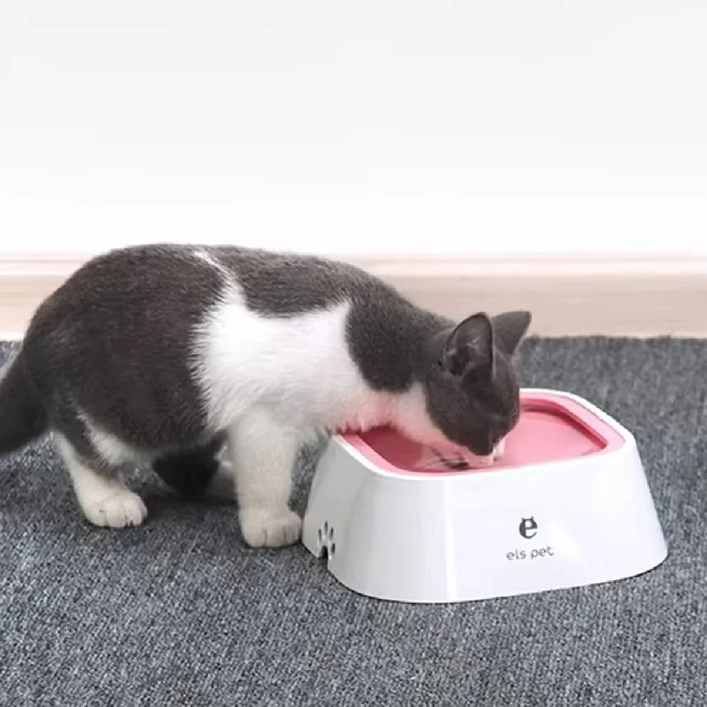 Anti-Spill Slow Water Bowl for Dogs and Cats