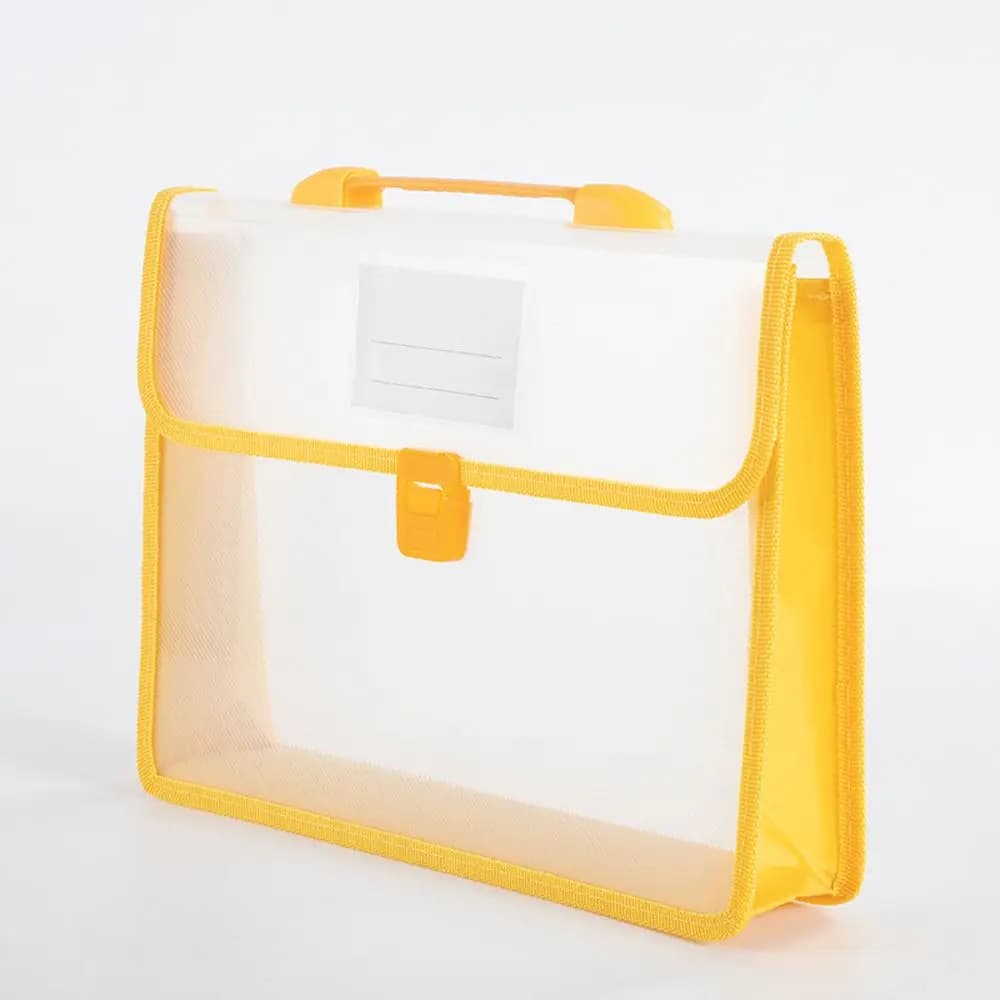 Expanding File Folder Organizer