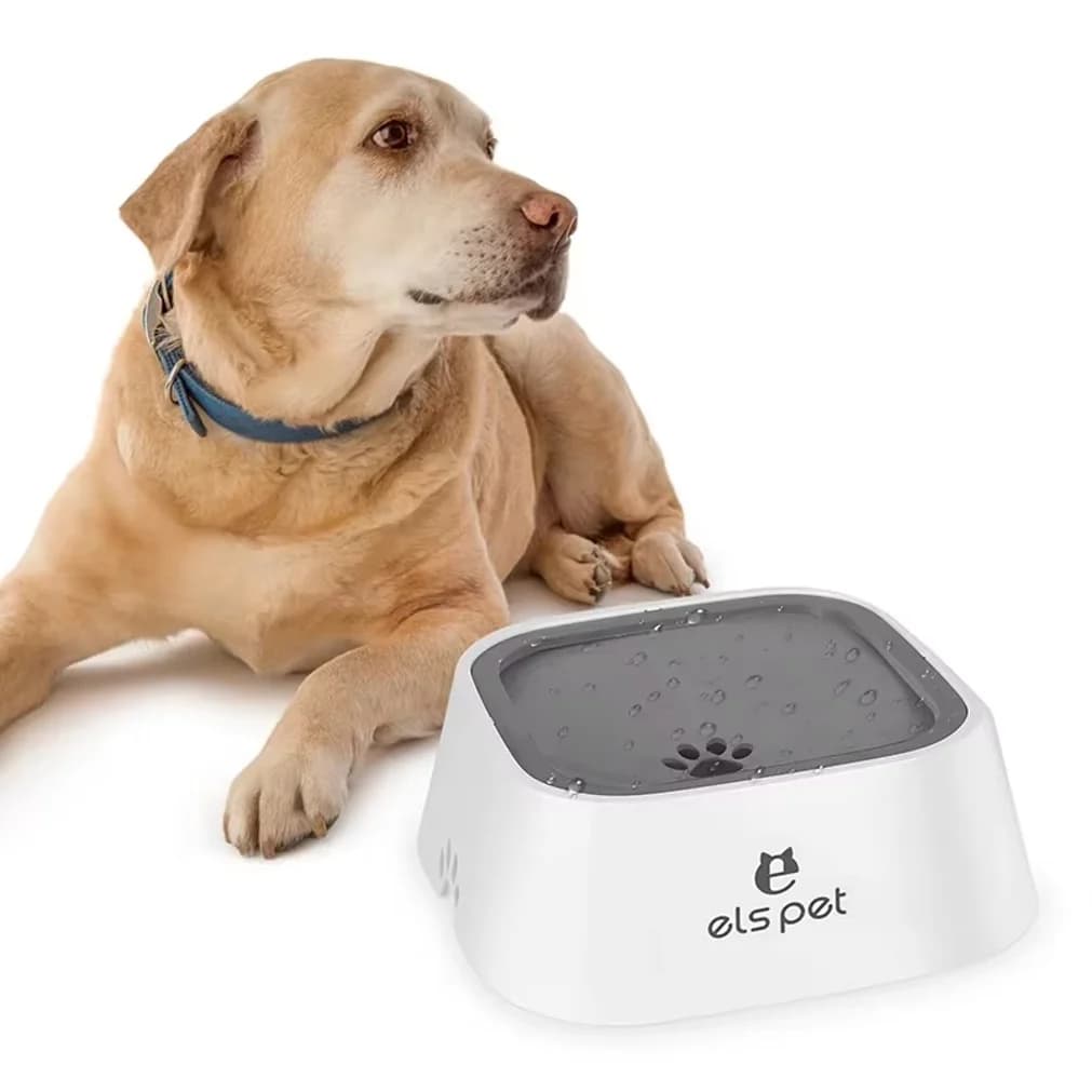 Anti-Spill Slow Water Bowl for Dogs and Cats