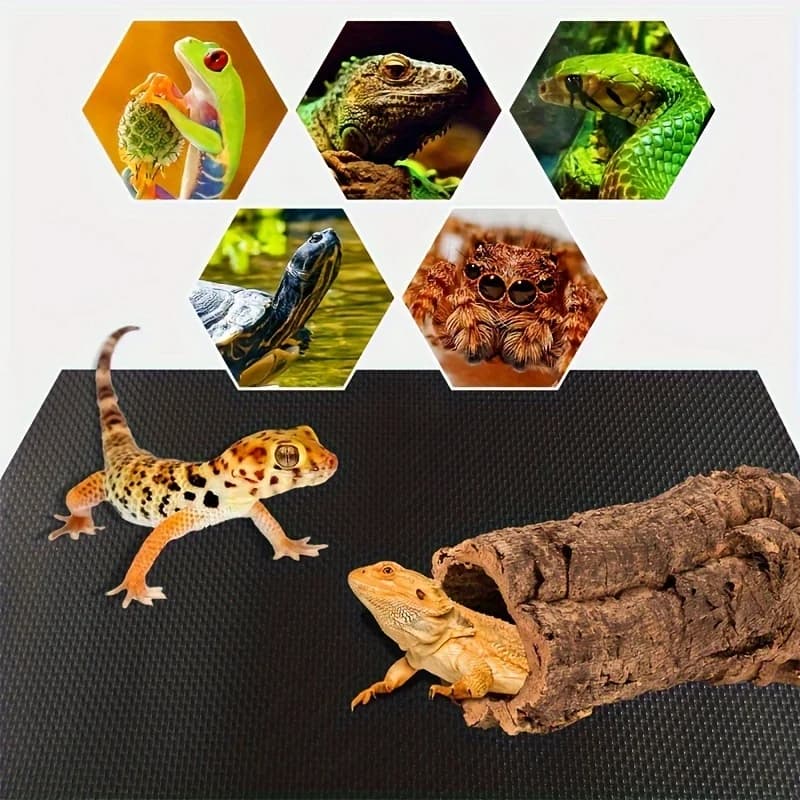 Reptile Terrarium Mat For All Amphibians