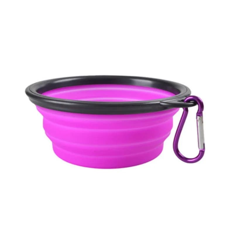 Collapsible Pet Food and Water Bowl