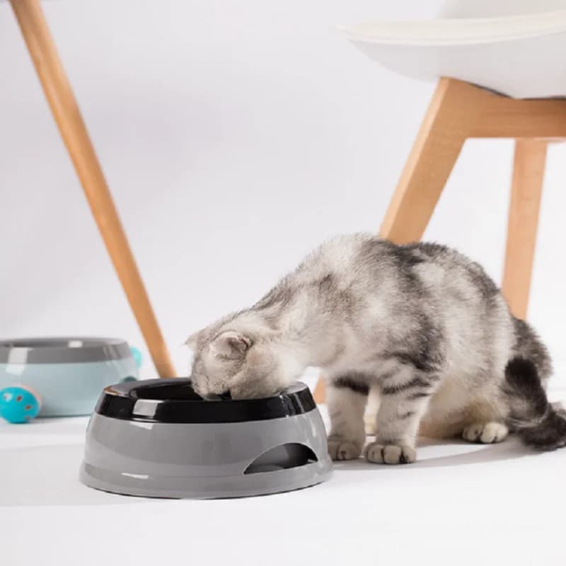 Floating Water Bowl for Dogs