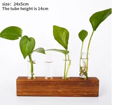 Wooden Frame Glass Hydroponic Vase
