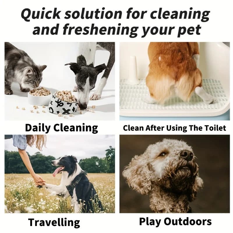 Pet Wipes for Dogs Cats, 80pcs*2 Packs, Thick Pearl Embossed Cleaning Wipes, Unscented No Alcohol, for Paws Eyes Butt