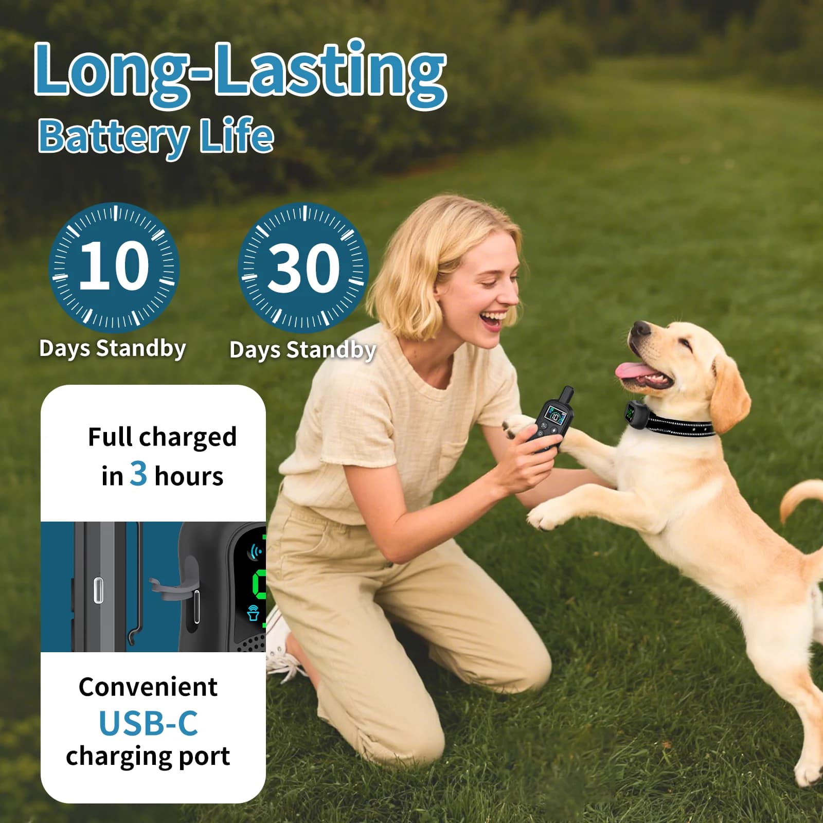 Remote Dog Training Collar