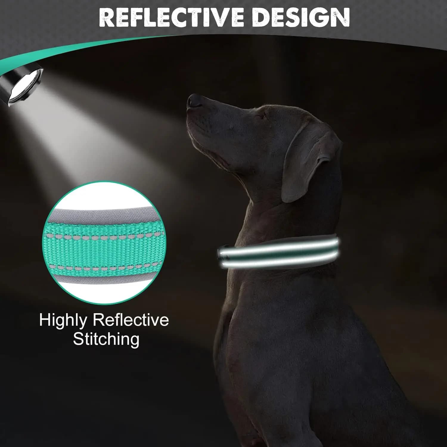 Padded Reflective Dog Collar with Metal Buckle