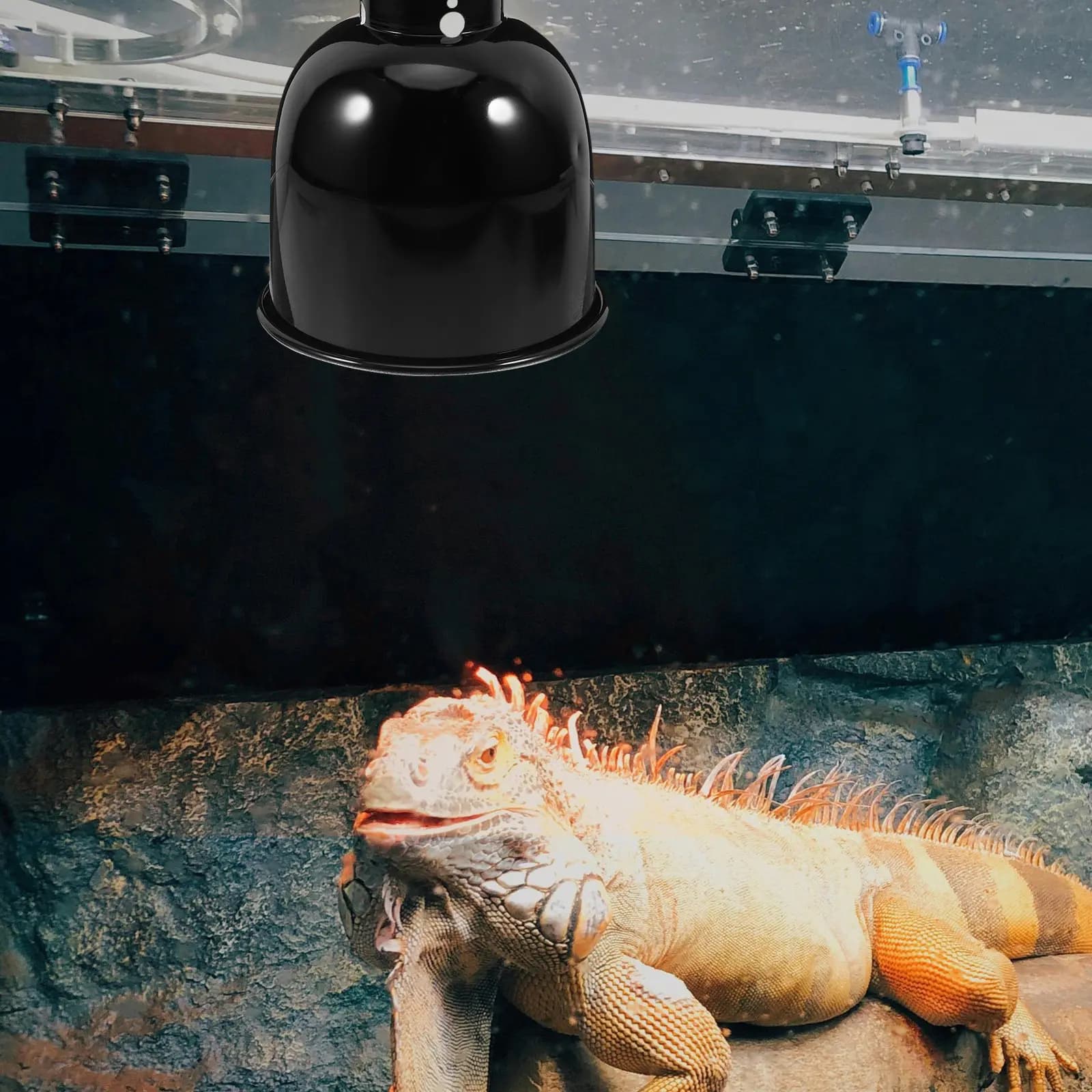 Reptile Heat Lamp Dome Fixture with Shield