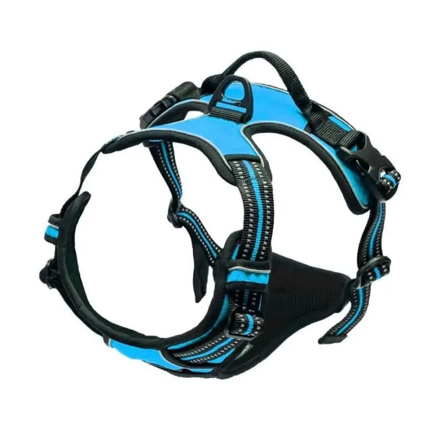 Dog Collar Harness and Leash Set