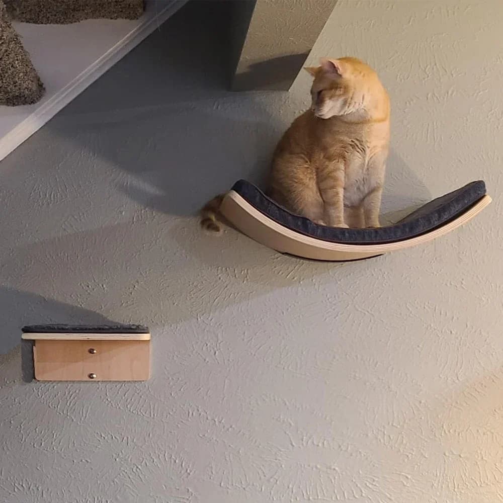 Wall-Mounted Cat Tree with Hammock and Stairs