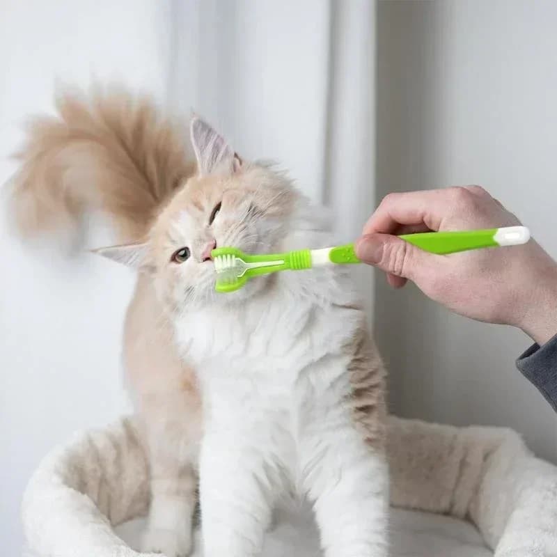 Three-Head Pet Toothbrush for Dogs