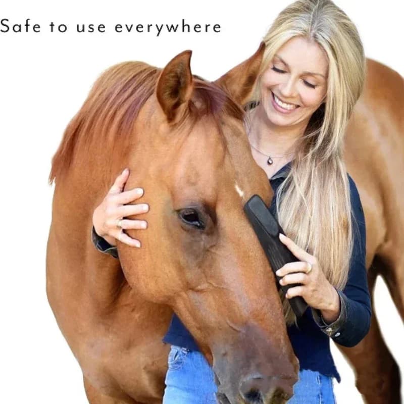 Horse Massage and Grooming Brush Kit
