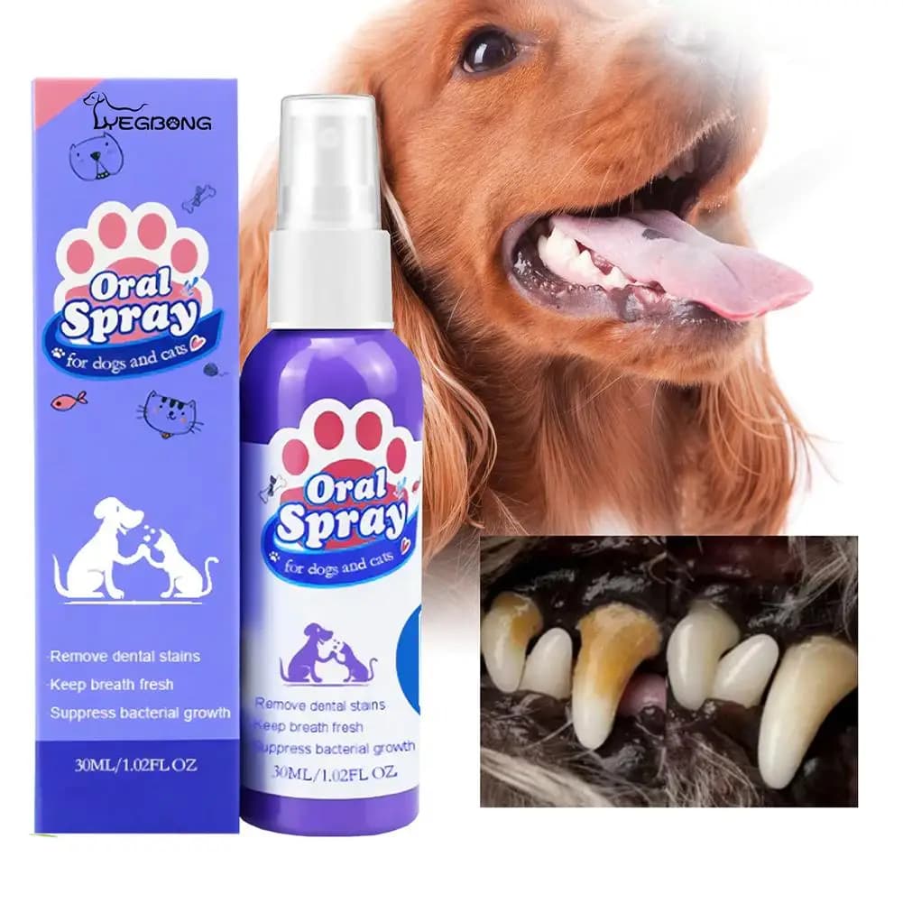 Pet Dental Spray for Dogs