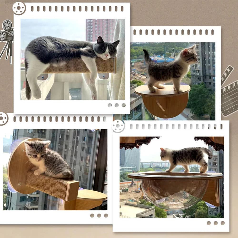 Cat Window Perch Climbing Frame