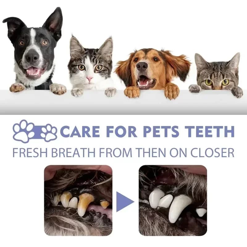 Dog Oral Care Spray