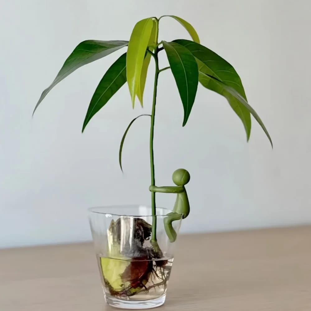 Plant Cutting Support Clip