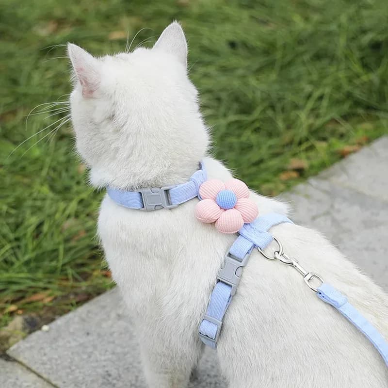 Adjustable Breathable Pet Harness and Leash Set