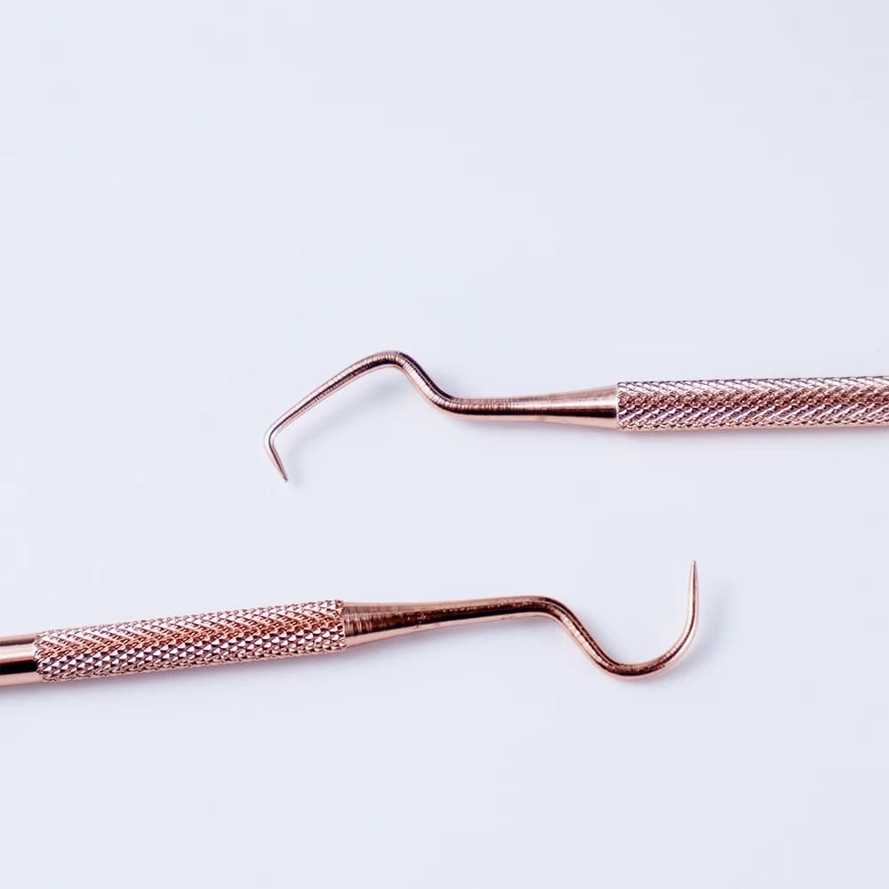 Dental Probe and Cleaning Tool Kit