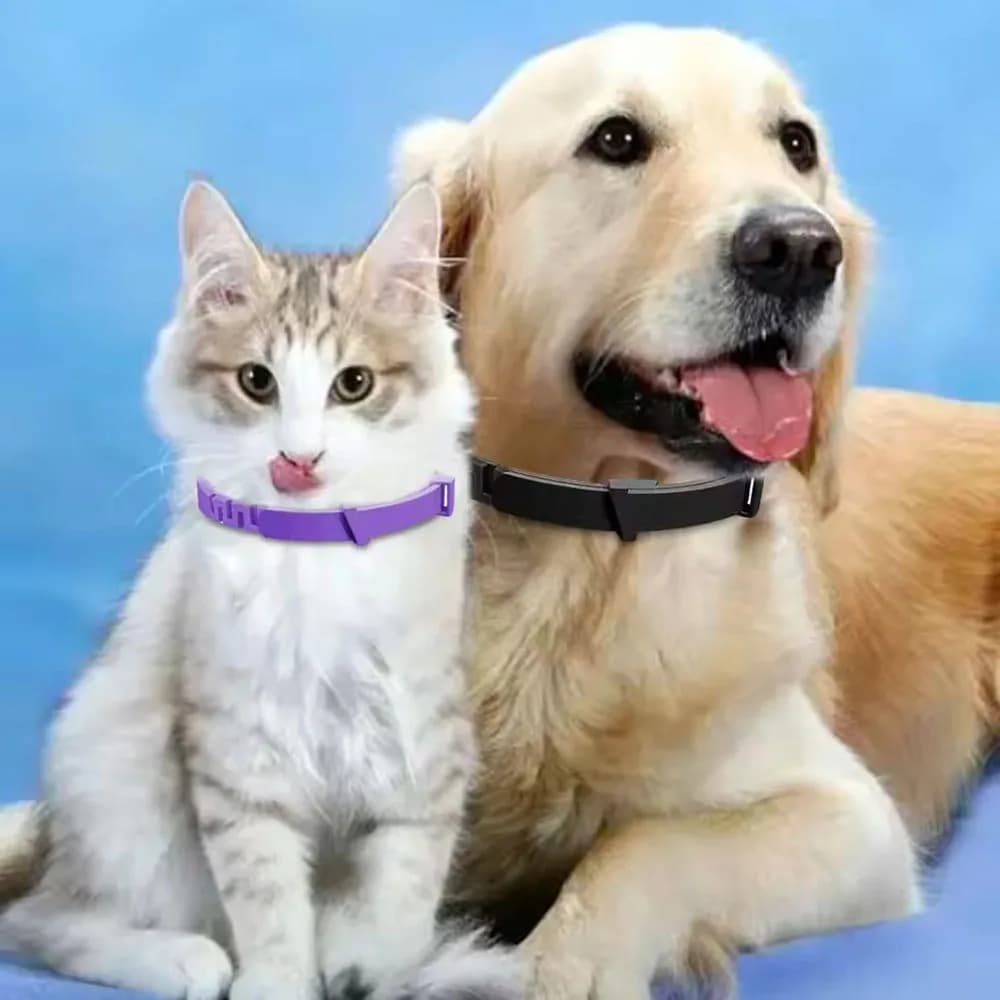 Adjustable Waterproof Pet Collar