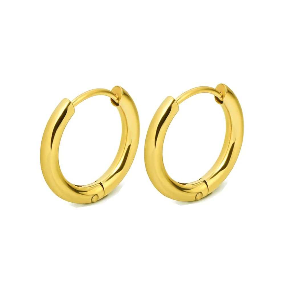 Stainless Steel Hoop Earrings Gold