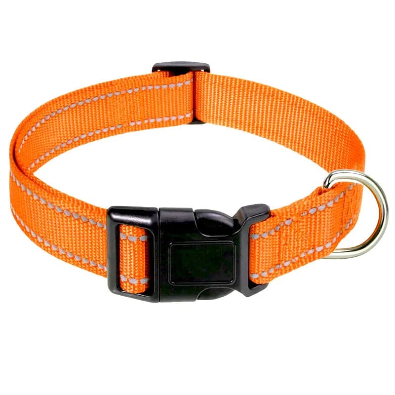 Adjustable Dog Collar with Quick Release Buckle