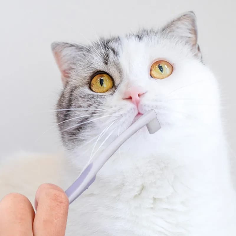 Dog Toothbrush with Soft Bristles