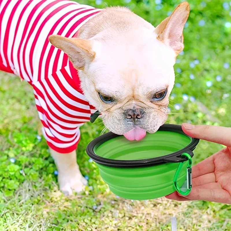 Collapsible Pet Food and Water Bowl