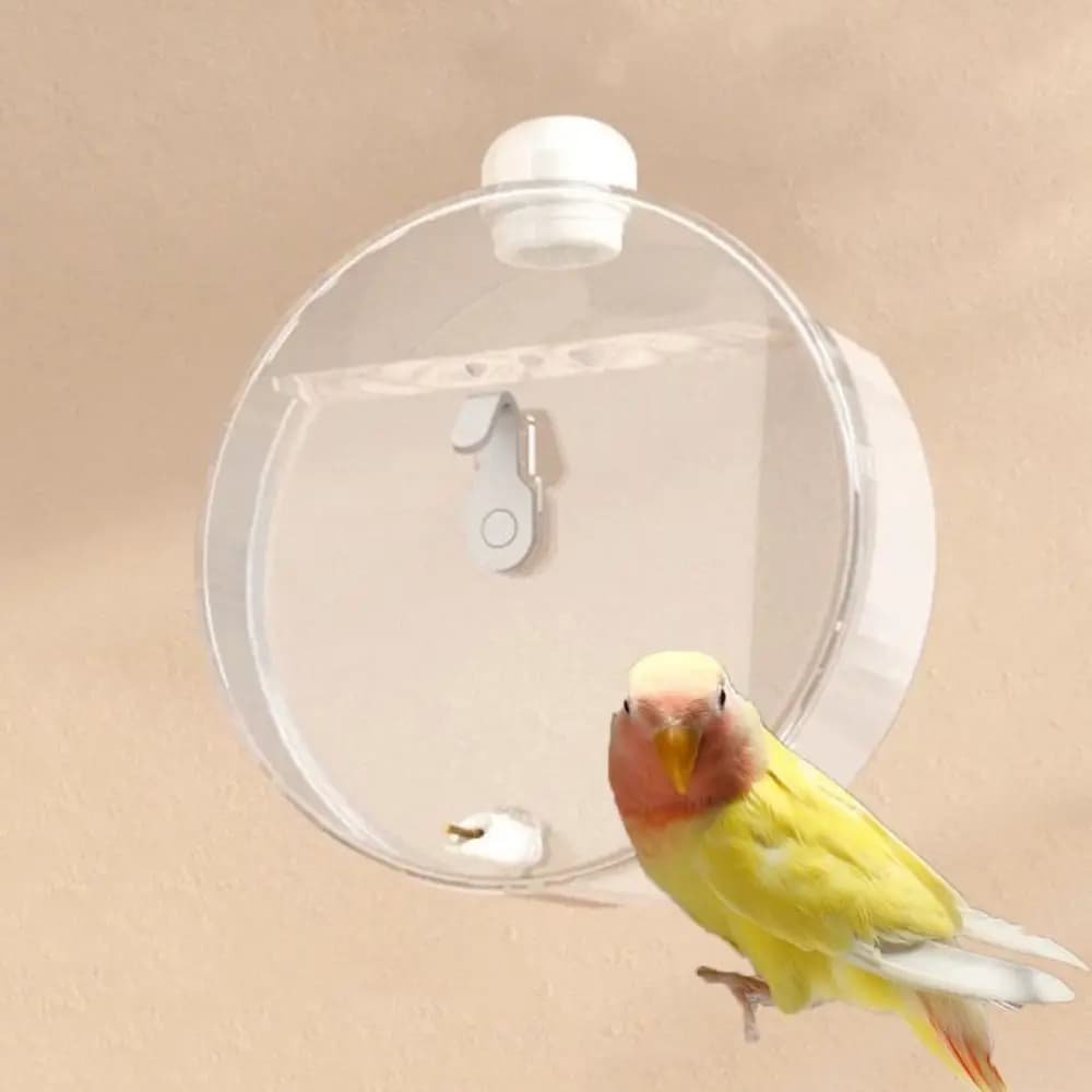 Bird Water Feeder Bottle 350ml Transparent