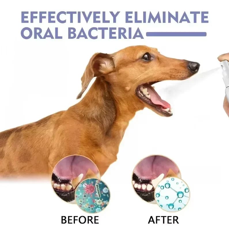 Pet Breath Freshener Oral Spray