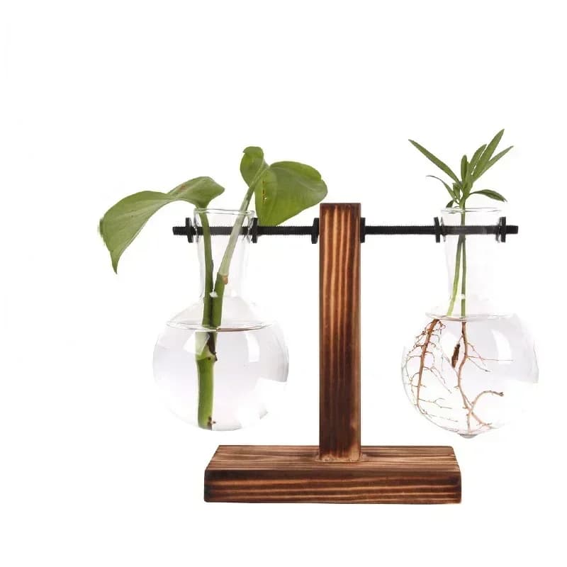 Hydroponic Plant Terrarium with Wooden Stand