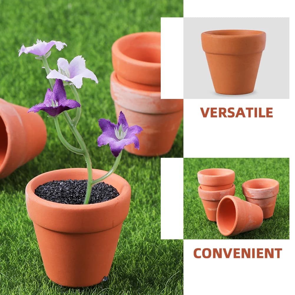 Mini Terracotta Plant Pots Set of 12