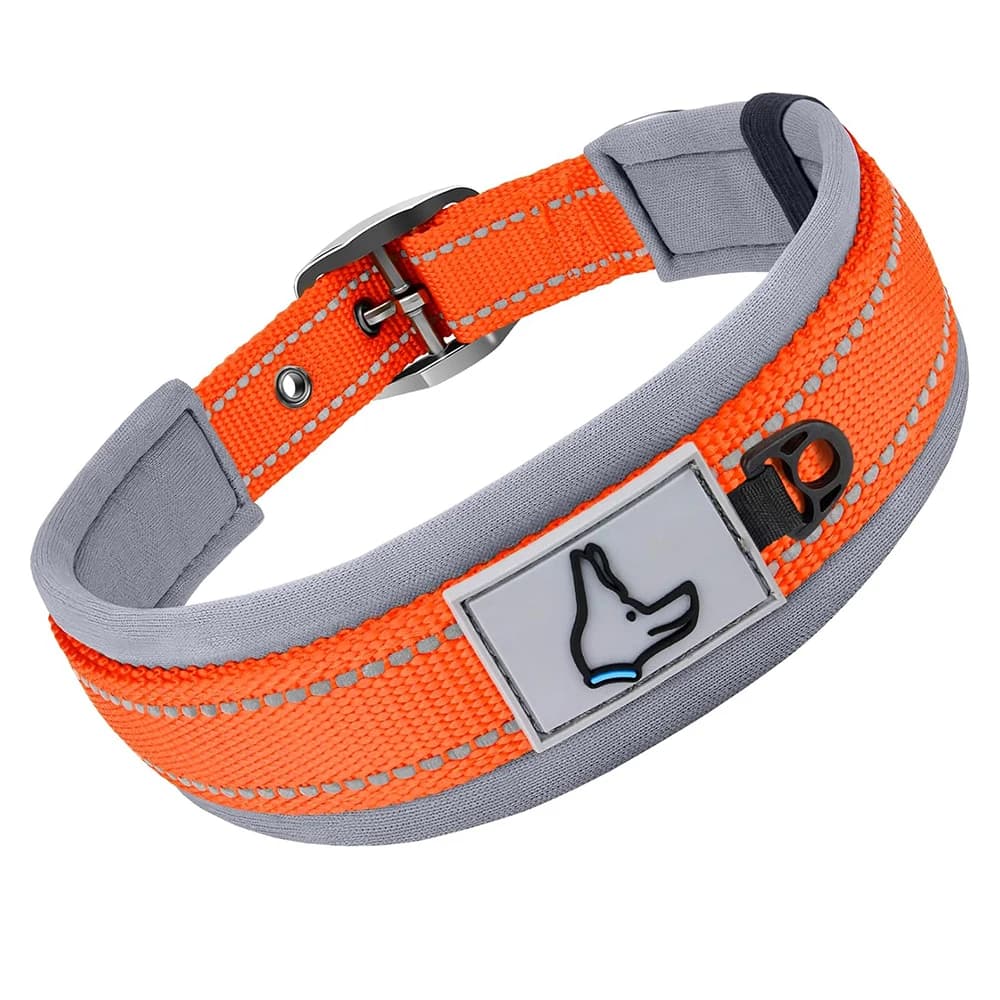 Padded Reflective Dog Collar with Metal Buckle