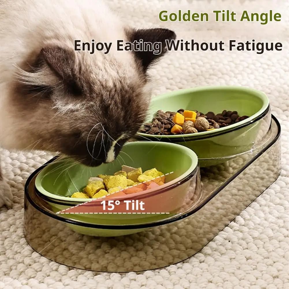 Elevated Dual Pet Feeding Station