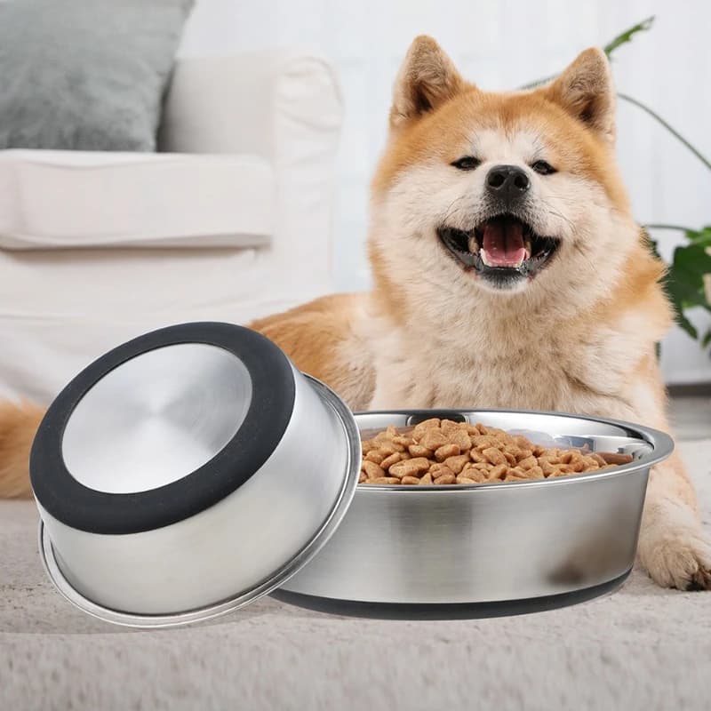 Stainless Steel Pet Bowl with Silicone Base