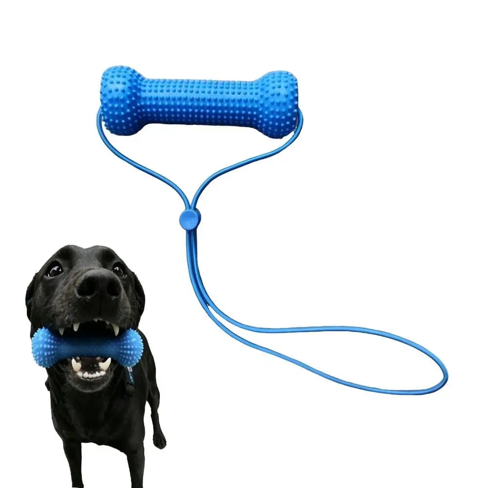 Dual-Action Canine Dental Chew Toy