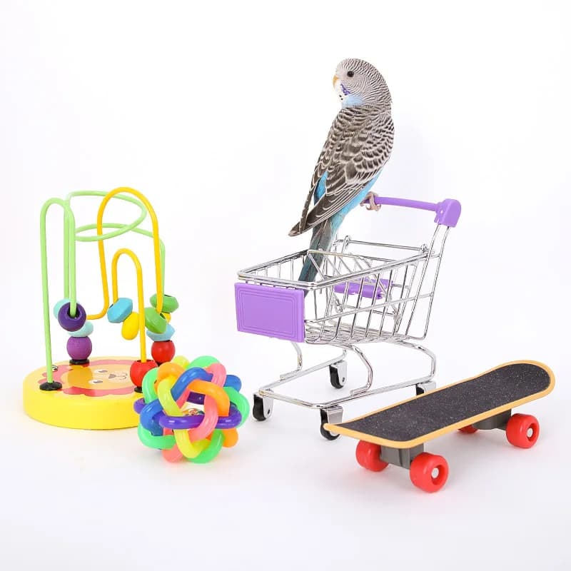 Bird Cage Activity Toy