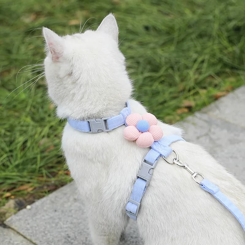 Adjustable Harness and Leash Set for Small Pets