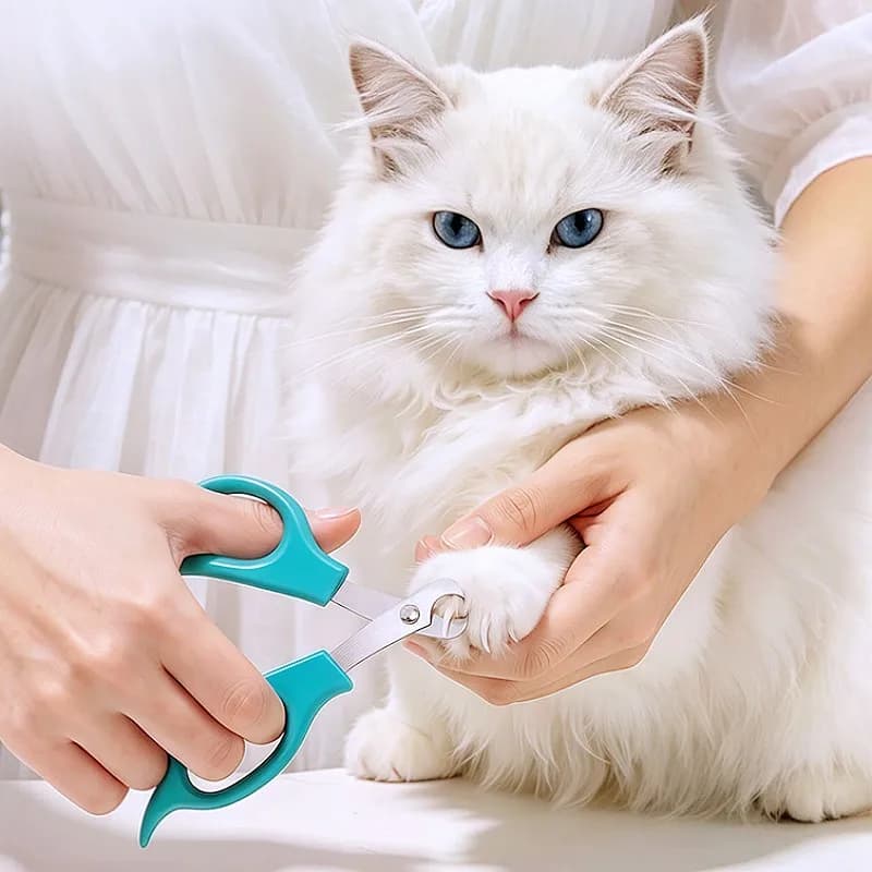 Small Pet Nail Clippers