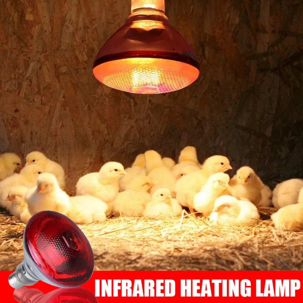250W Infrared Heat Lamp Bulb E27