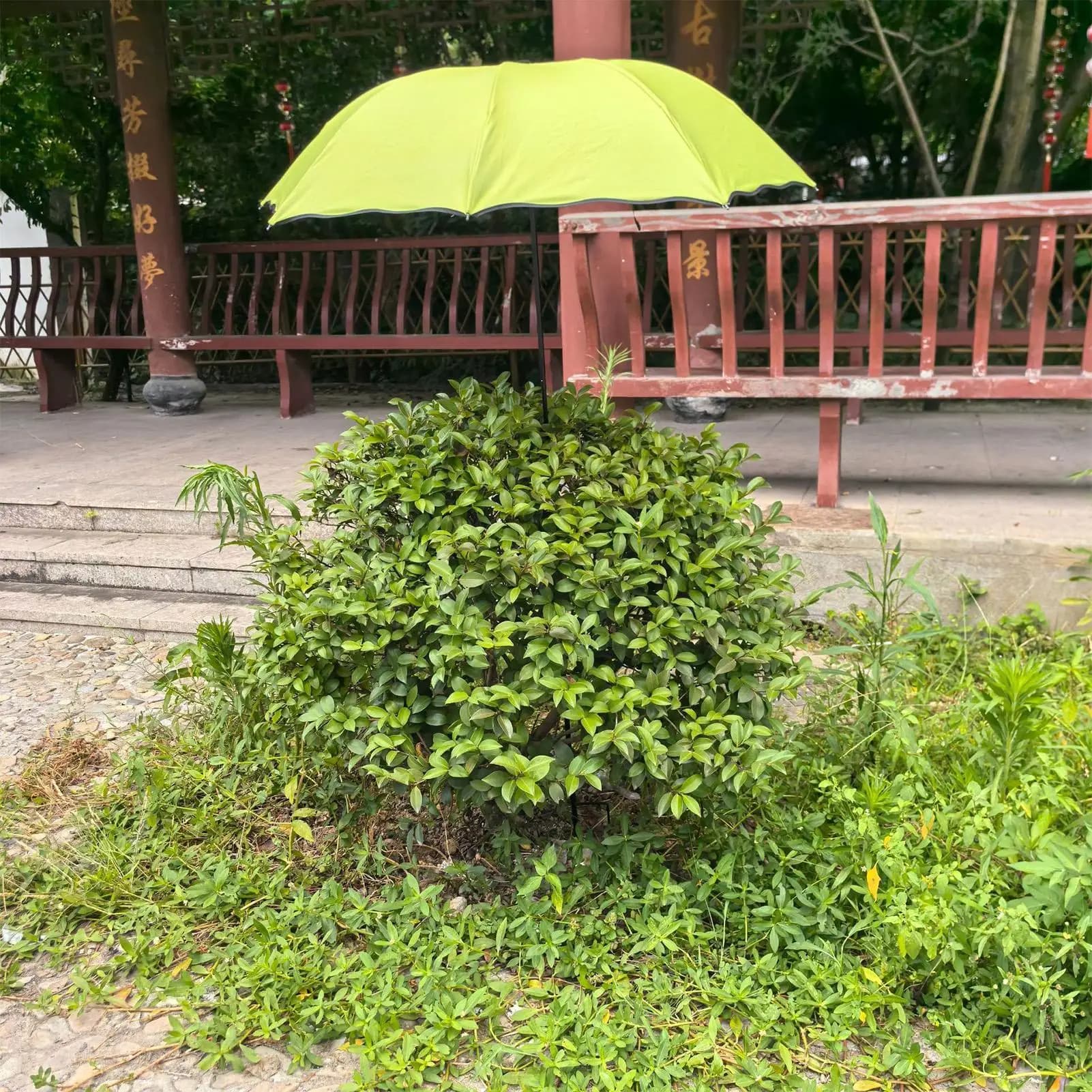 Garden Umbrella for Plants Outdoor Flower Sun Shade Parasol Patio Plants Umbrella for Gardeners Outside Yard Patio Porch