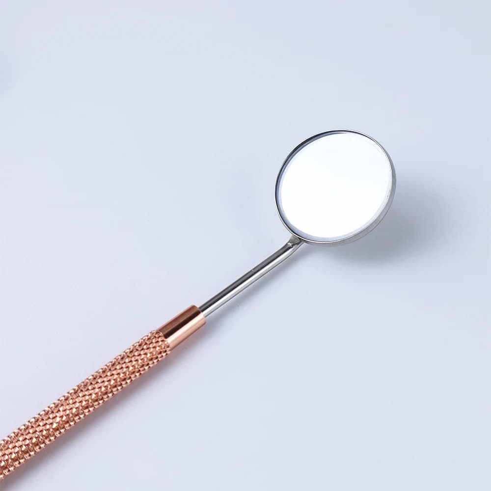 Dental Probe and Cleaning Tool Kit