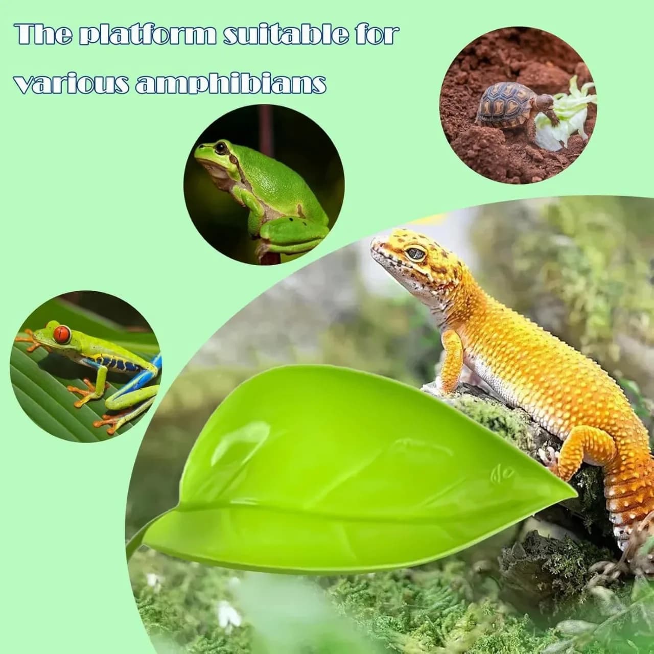 Reptile Basking Leaf Terrace With Suction Cup