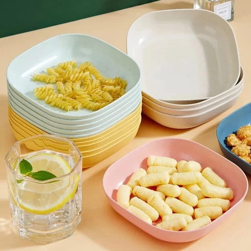 Square Plastic Dinner Plates with Storage Box