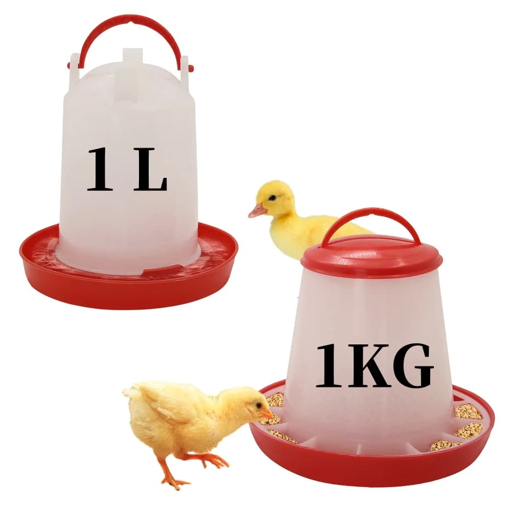 Chicken Feeder and Waterer Set