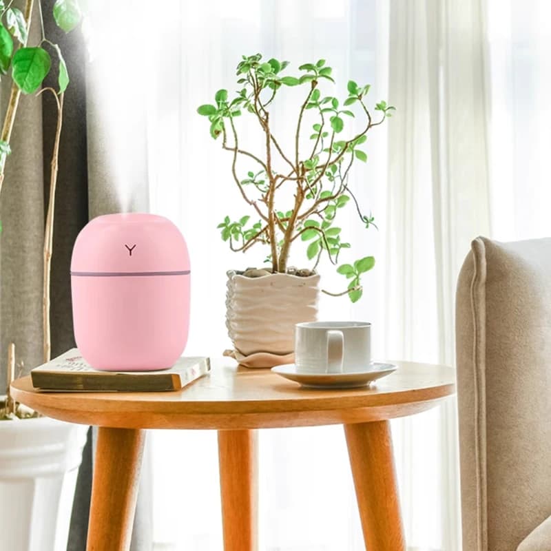 Mini Ultrasonic Humidifier with Night Light