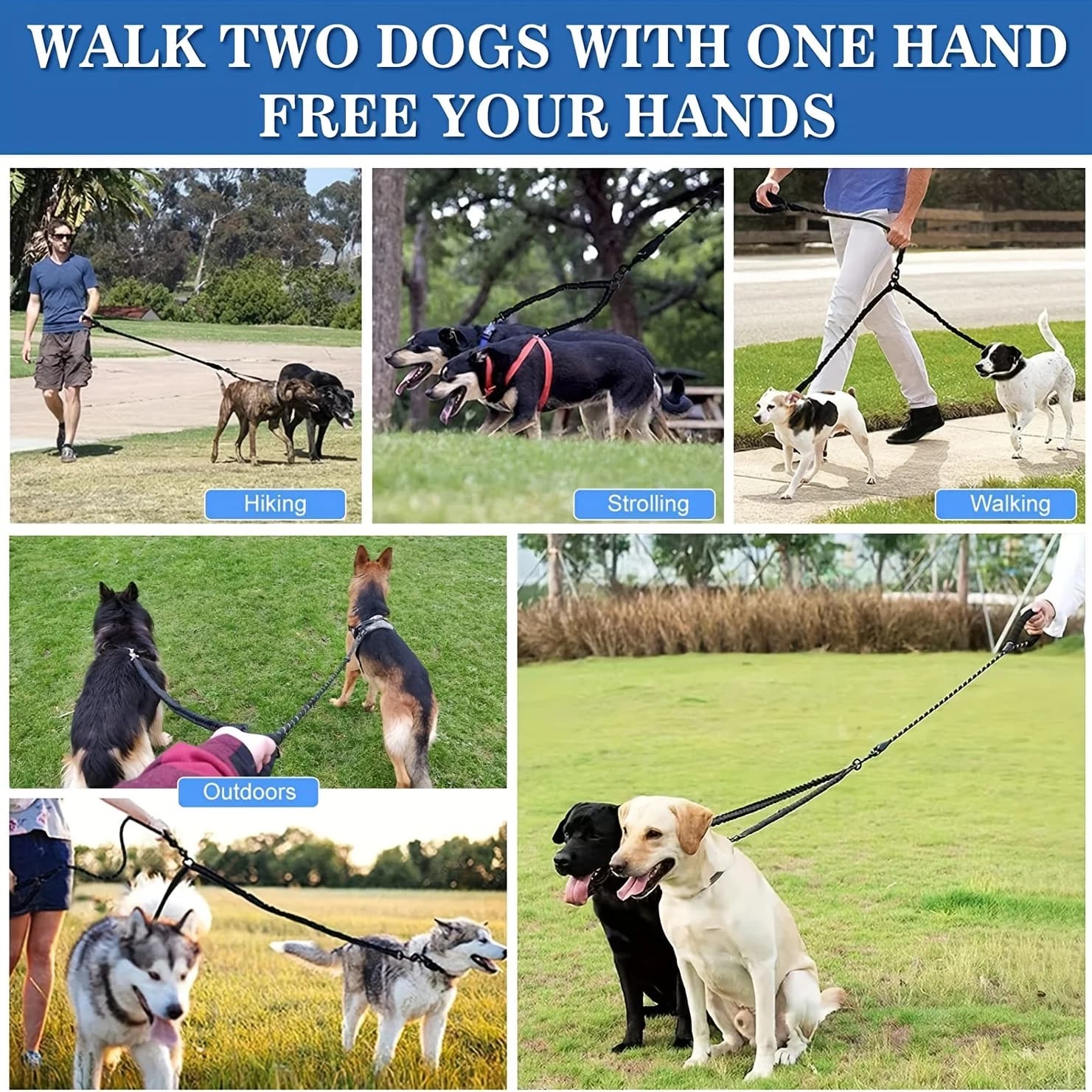 Double Dog Leash Coupler with Reflective Bungee