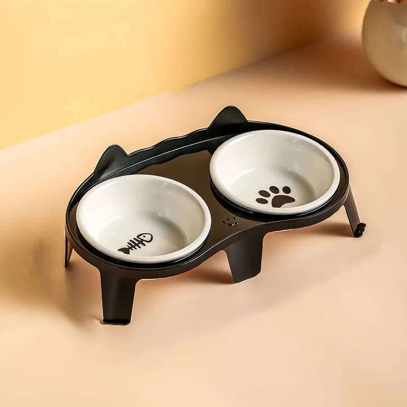 Ceramic Elevated Double Cat Bowl