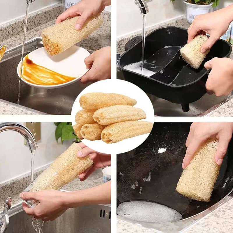 Natural Loofah Sponge