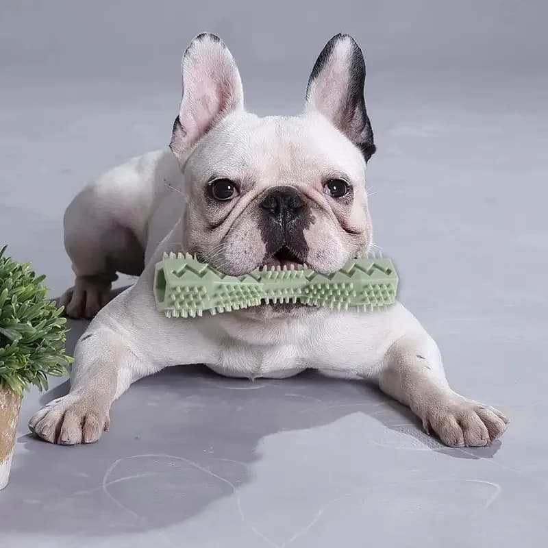 Soft Rubber Dog Chew Toy Toothbrush