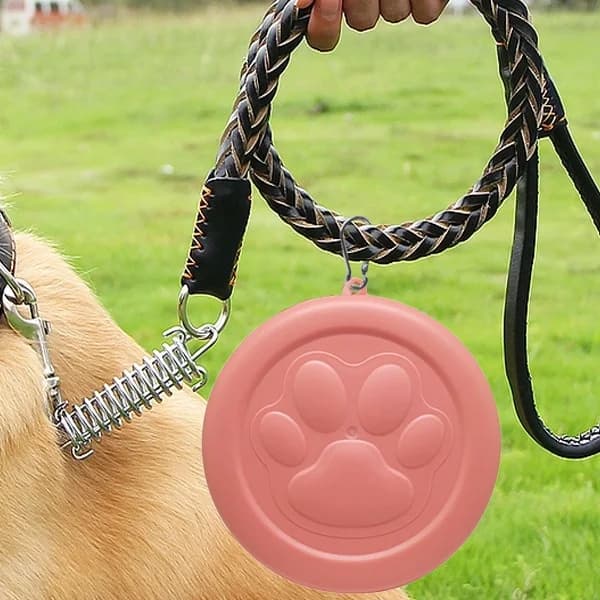 Portable Outdoor Pet Bowl with Treat Compartment