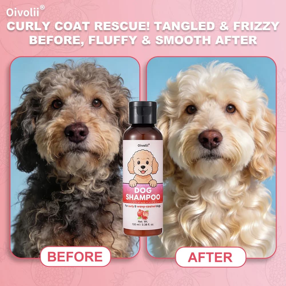 Curly Coat Dog Shampoo and Conditioner